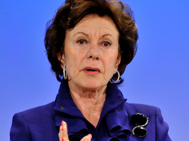 European Commission Vice President and Commissioner for the Digital Agenda Neelie Kreos