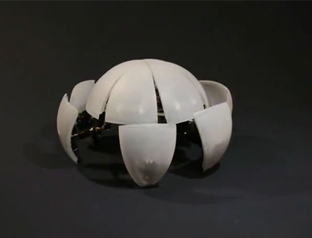 morphex-hexapod-RP