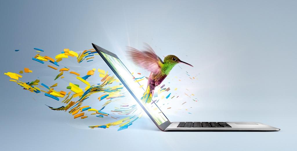 Intel Ultrabook Hummingbird