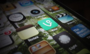 Vine App Icon