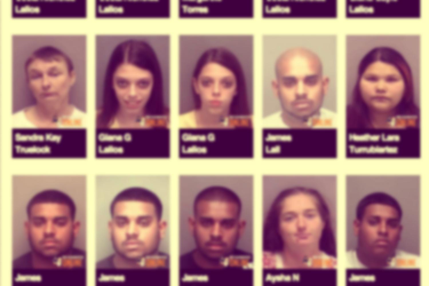 online mugshots header