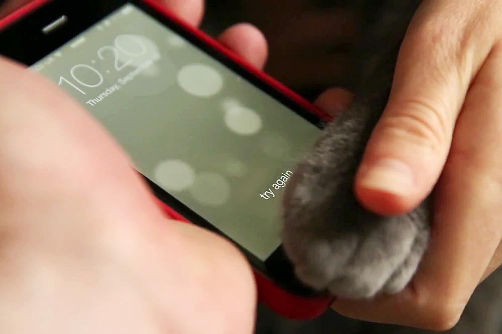 apple touch id body part tests iphone 5s cat paw