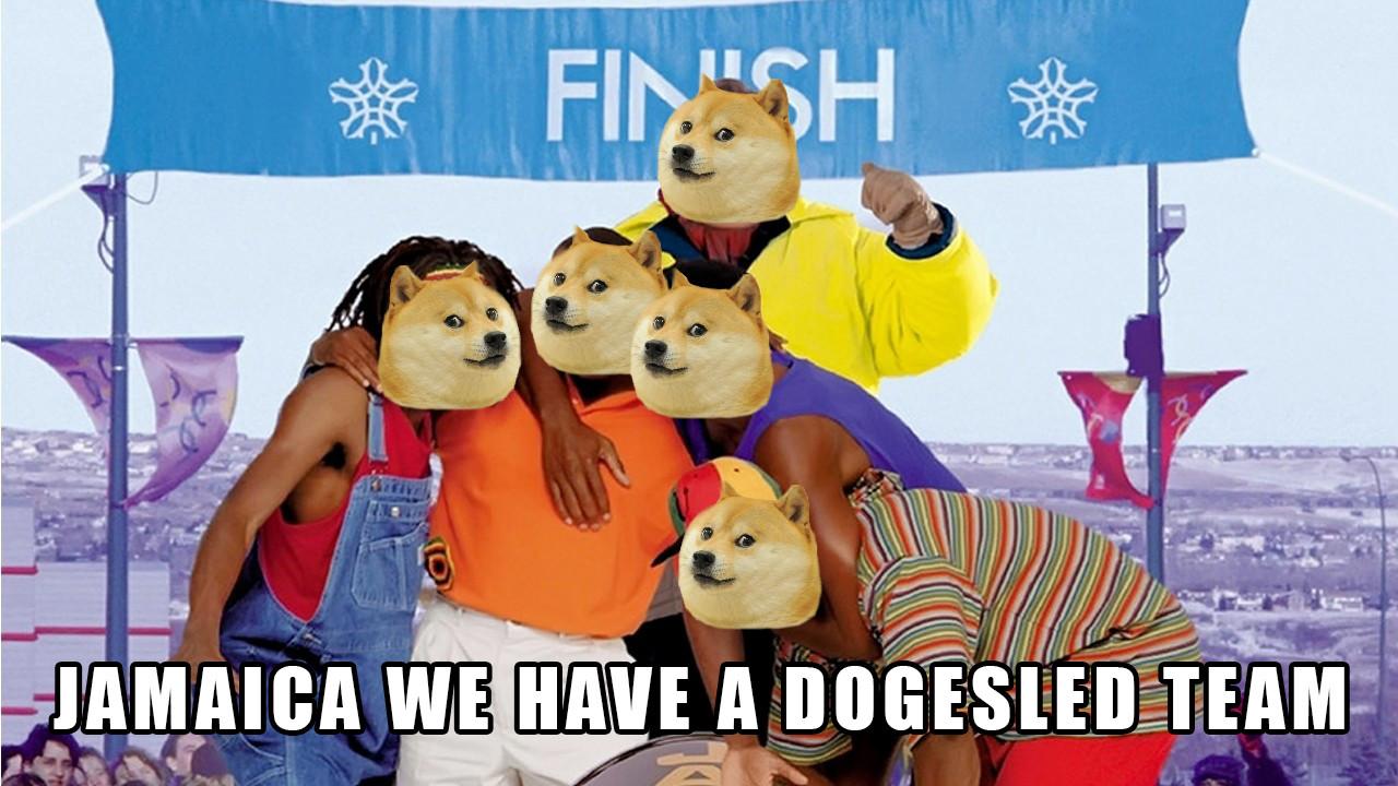 dogecoin jamaican bobsled team olympics msenuxk