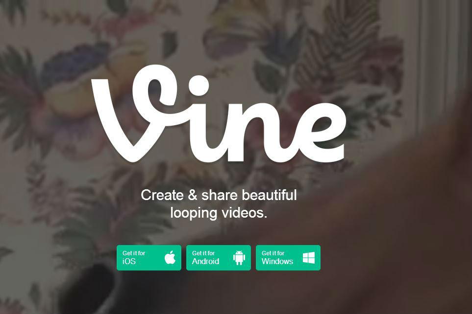 best vine accounts follow vines header