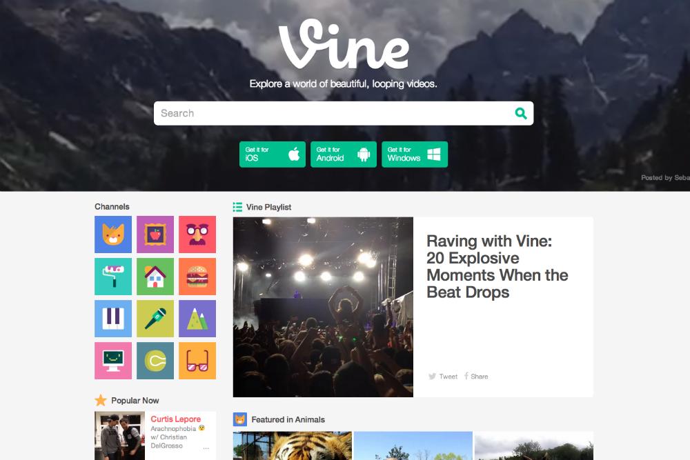 vine website gets major update for web