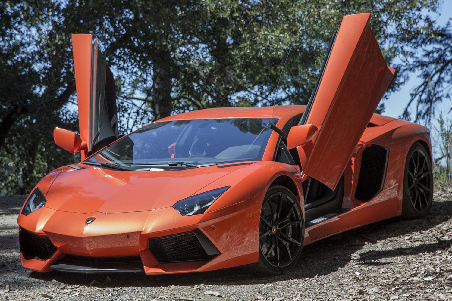 2015 Lamborghini Aventador wings front angle