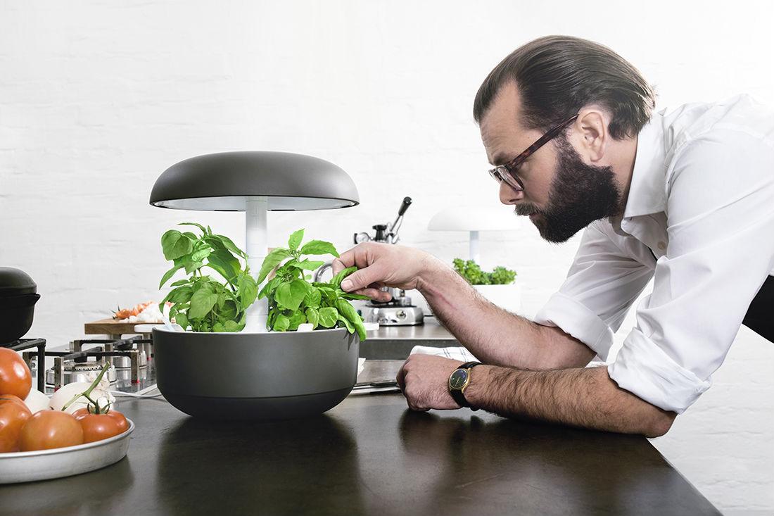 smart garden promises homegrown vegetables lazy urbanites plantui