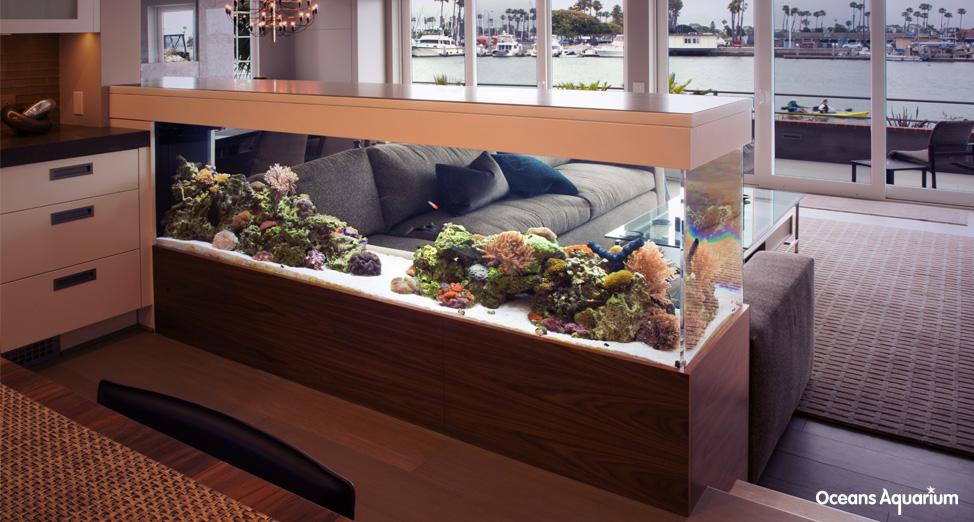 homes with their own shark tanks 14