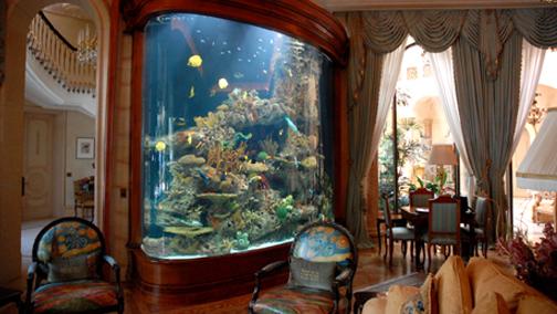 homes with their own shark tanks issham aquatics 4