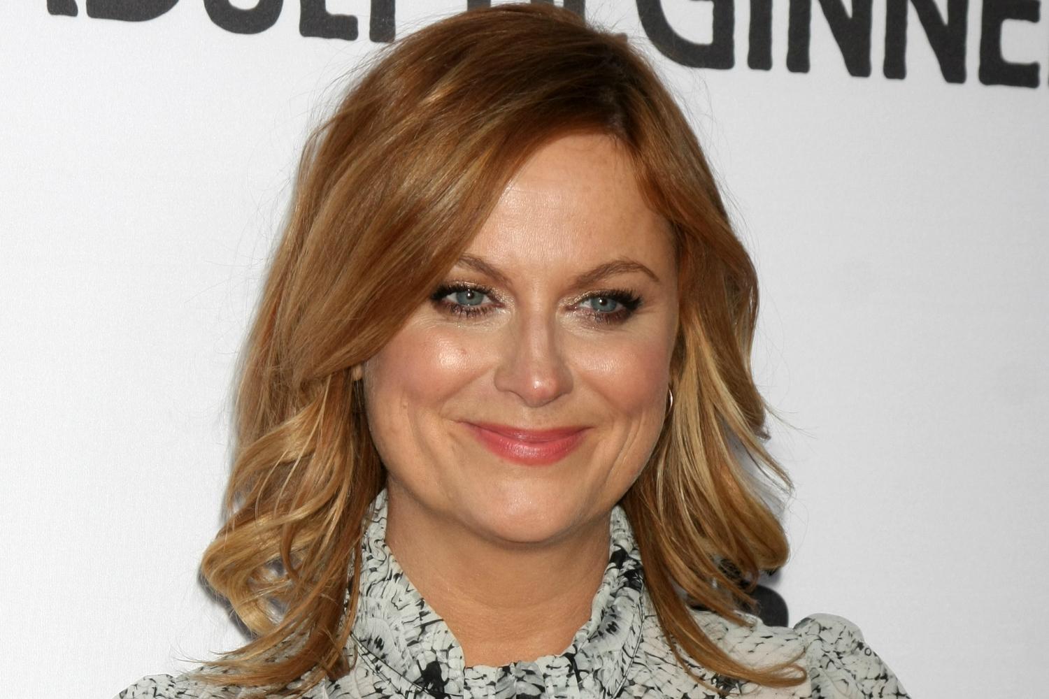 universal pictures amy poehler schooled