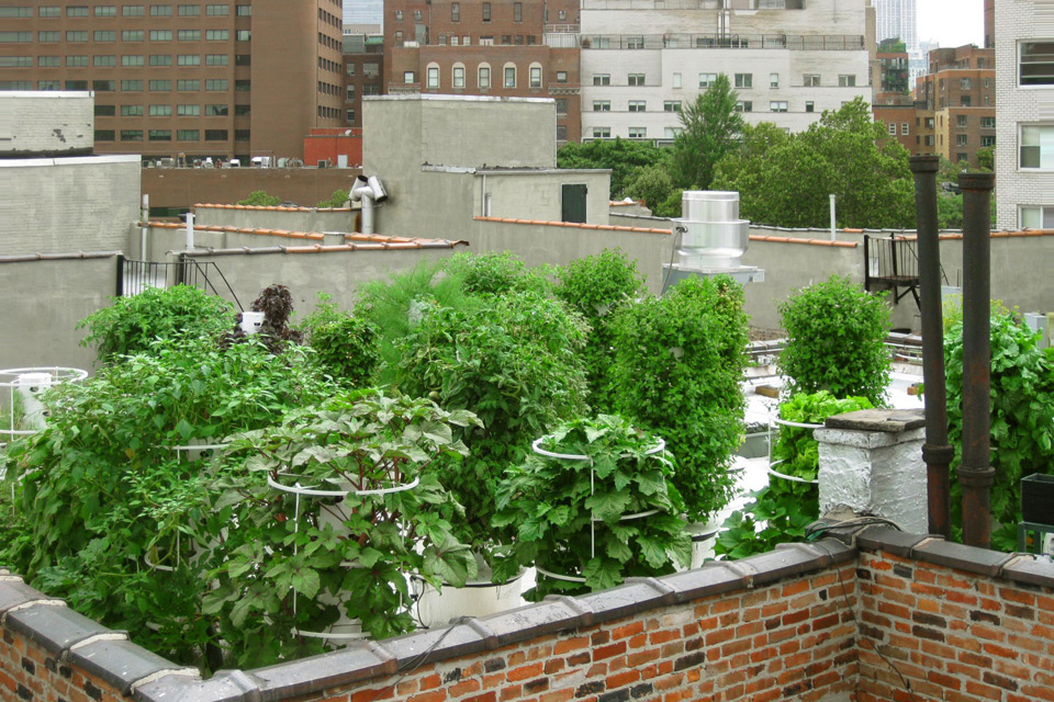 Bell Book & Candle Aeroponic Garden