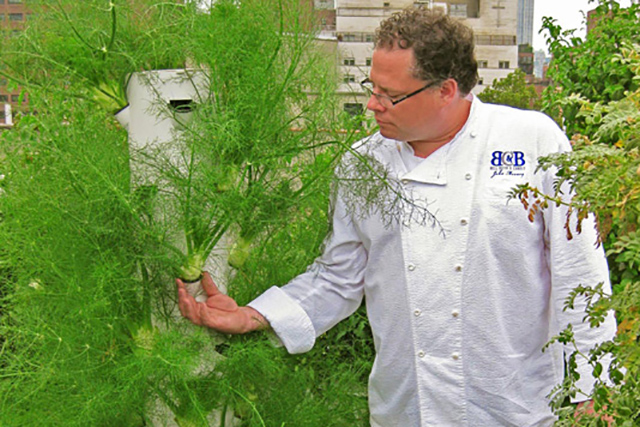 Bell Book & Candle Aeroponic Garden