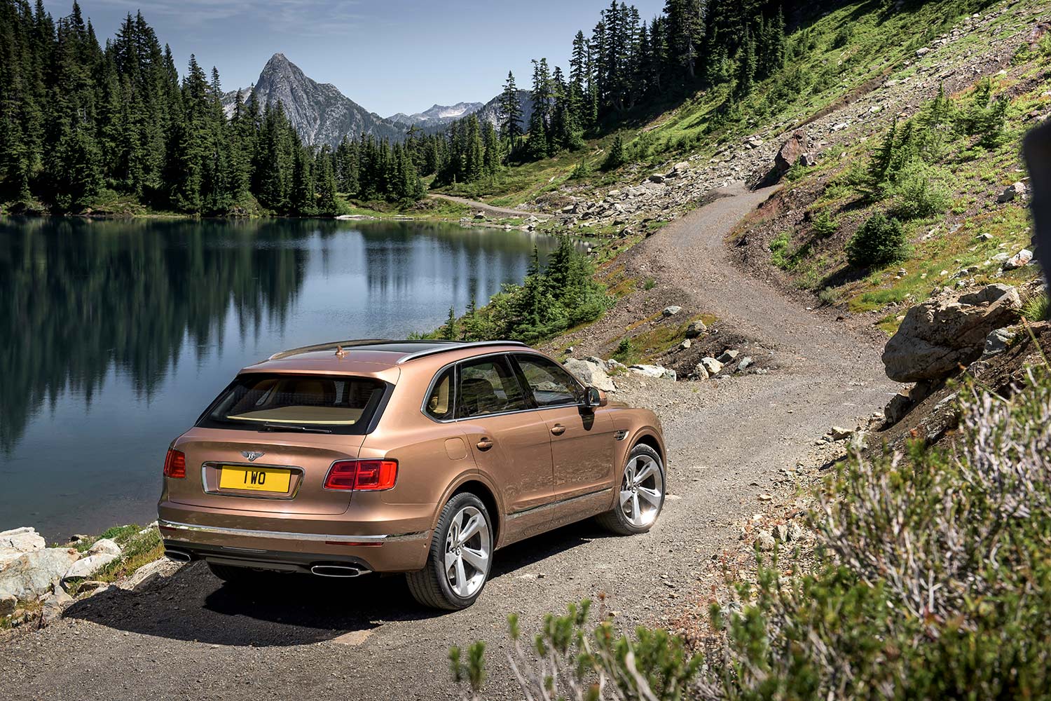 bentley bentayga tdi news performance specs rumors  rear three quarter static