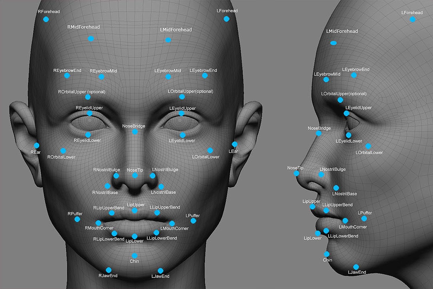 boss sensor digital face recognition