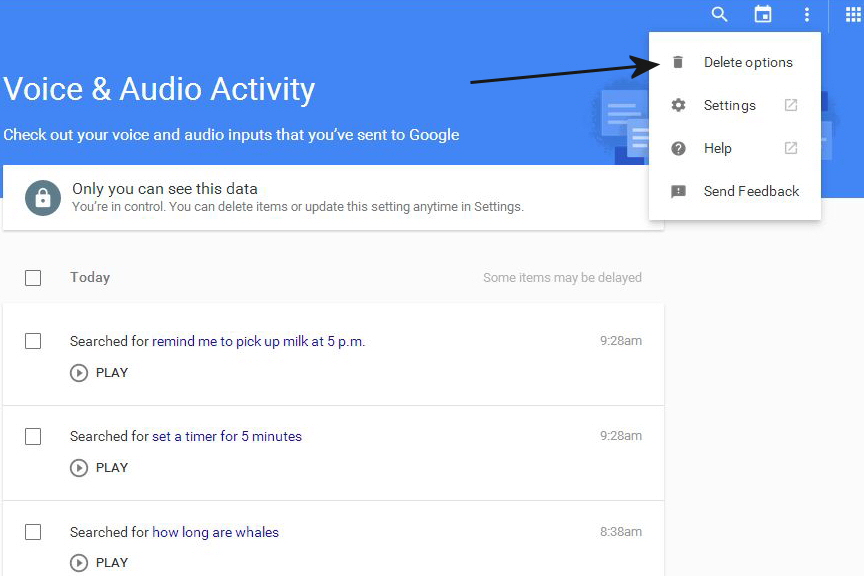 opt out delete google voice search history now 04a