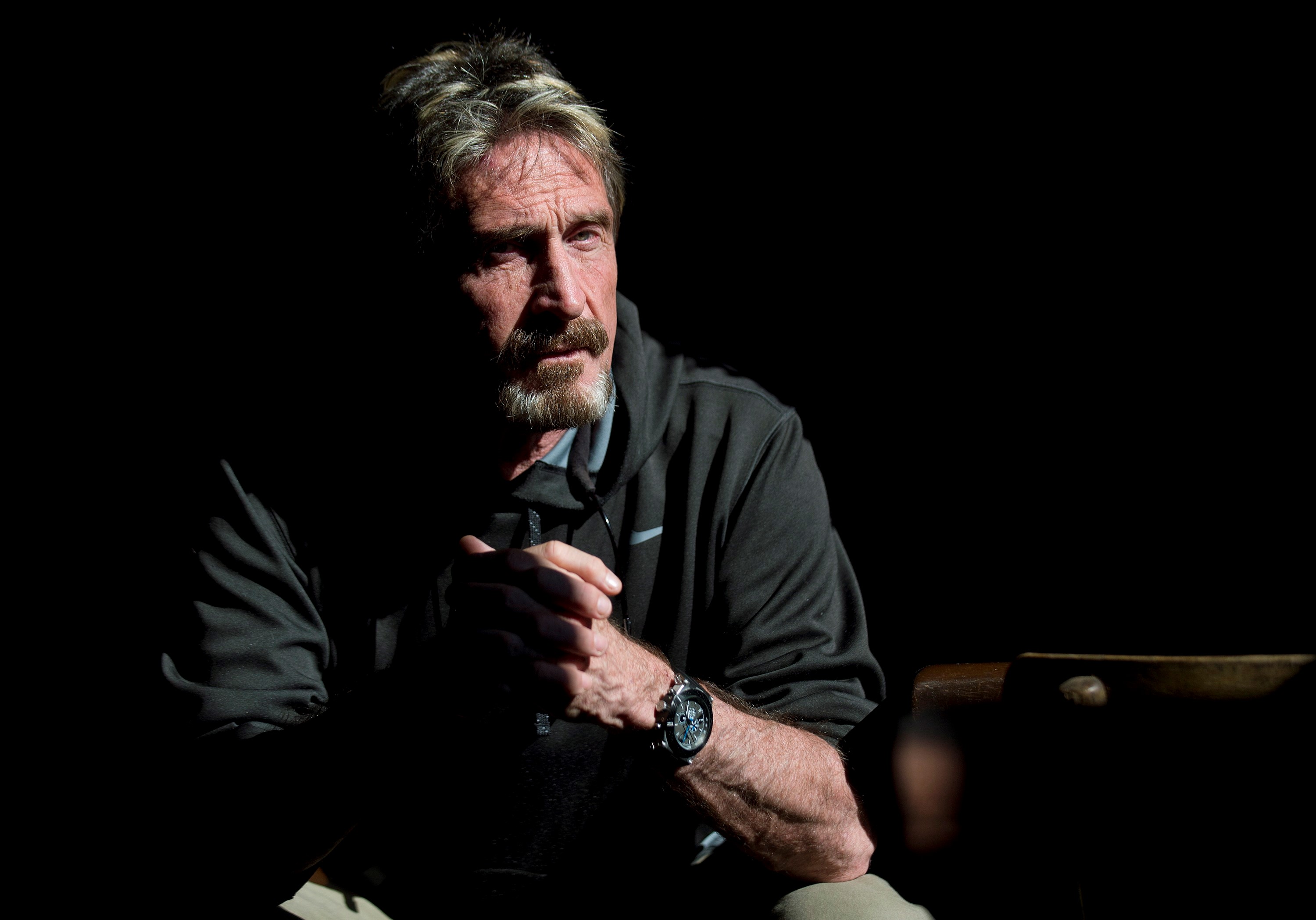 john mcafee art cyber warfare