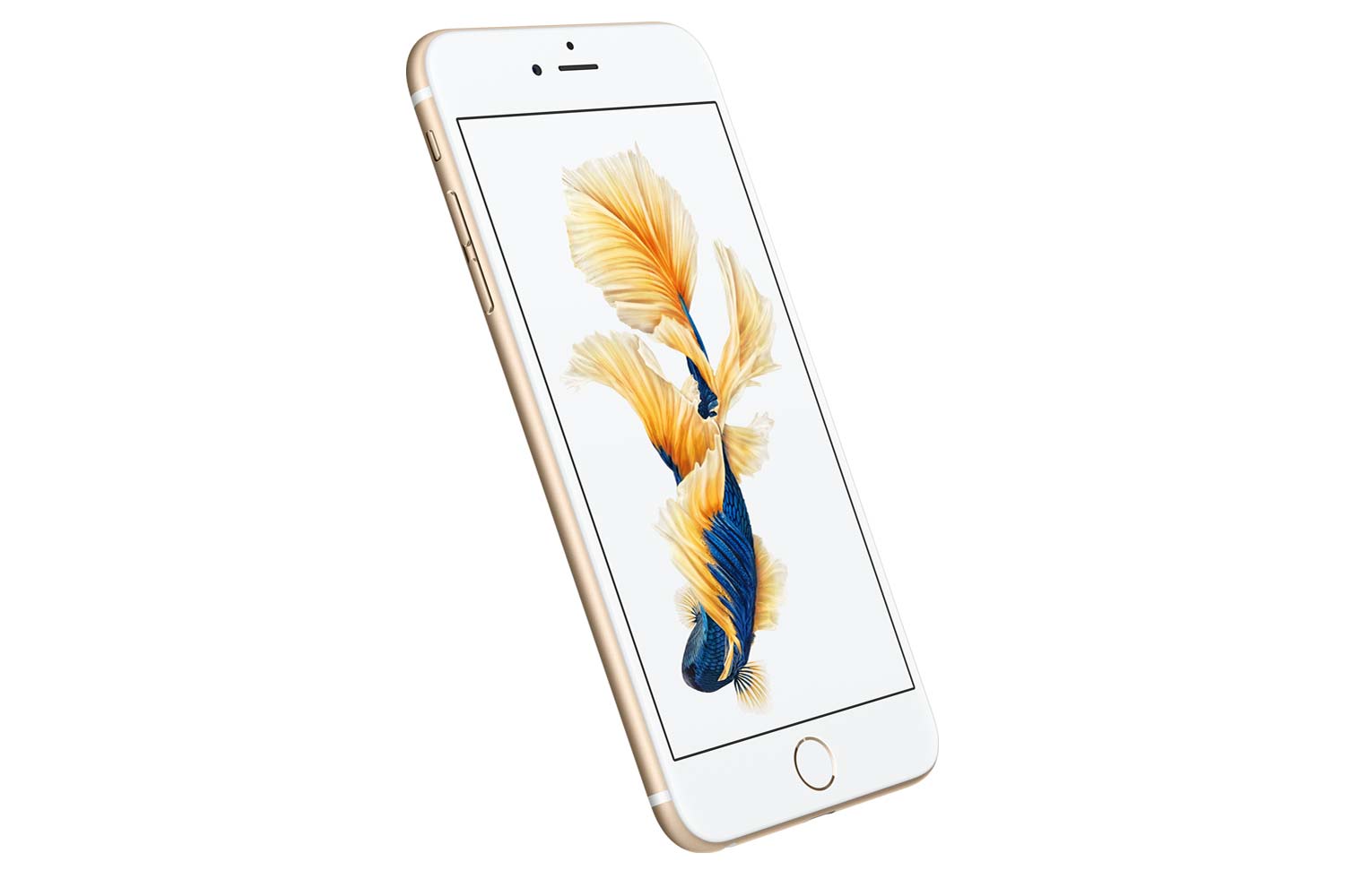 iphone 6s news design back large