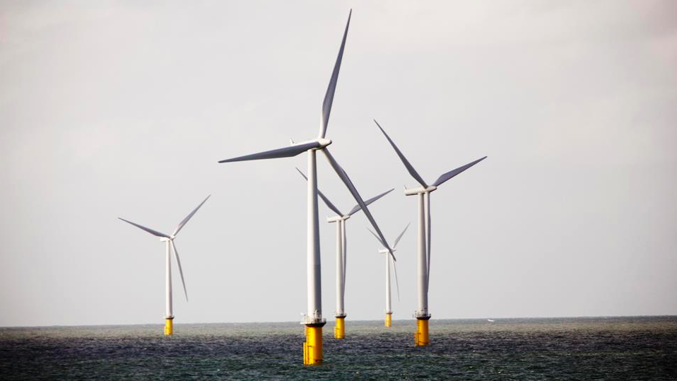 tech giants amicus cpp wind farm 2