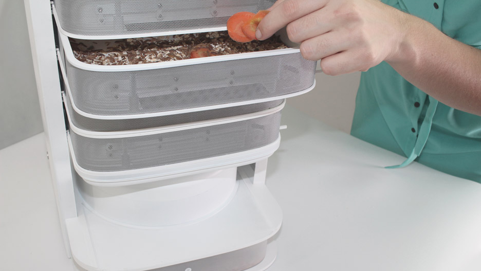 livin farms desktop hive makes edible mealworms 003