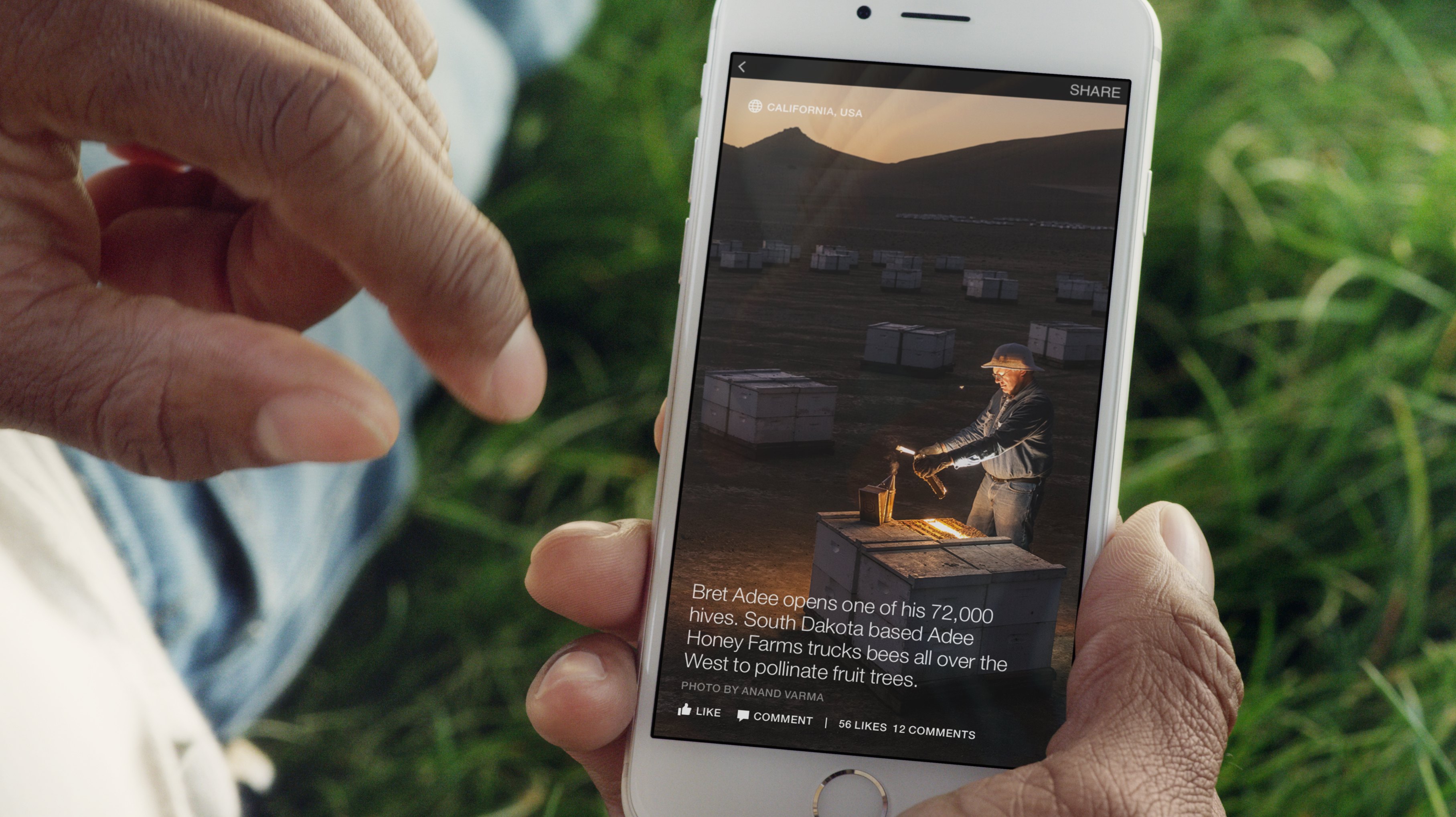 facebook instant articles latin america