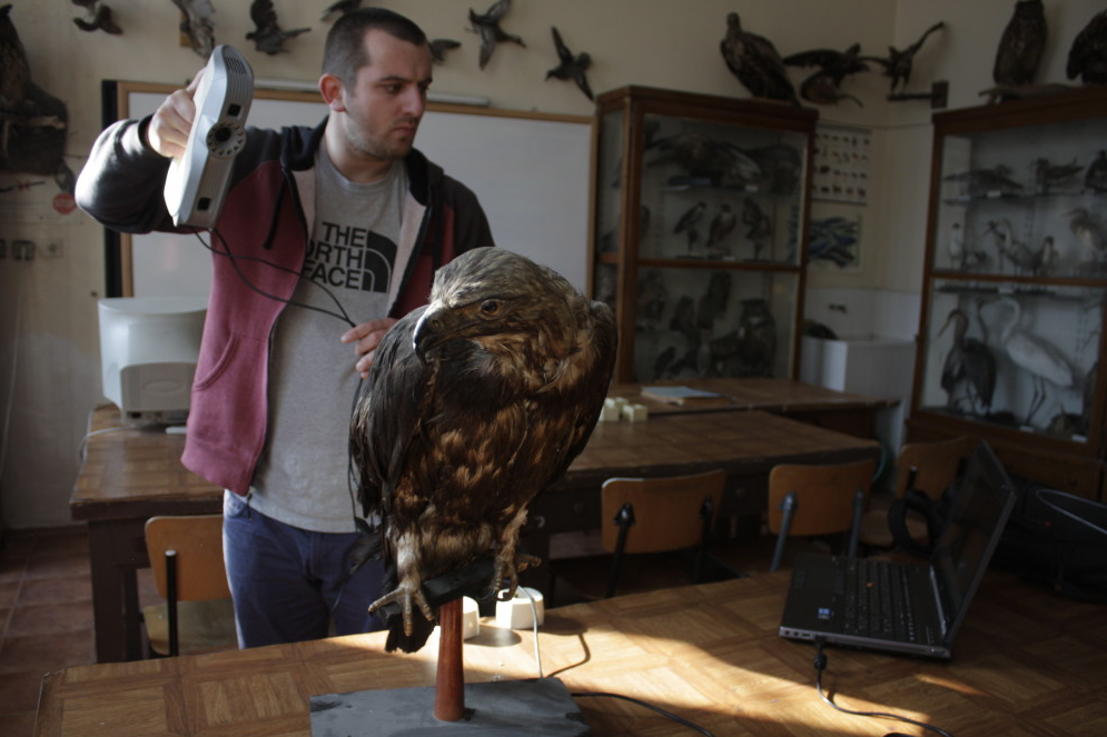 3d printed birds