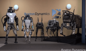 boston dynamics robot roundup bostondynamics4