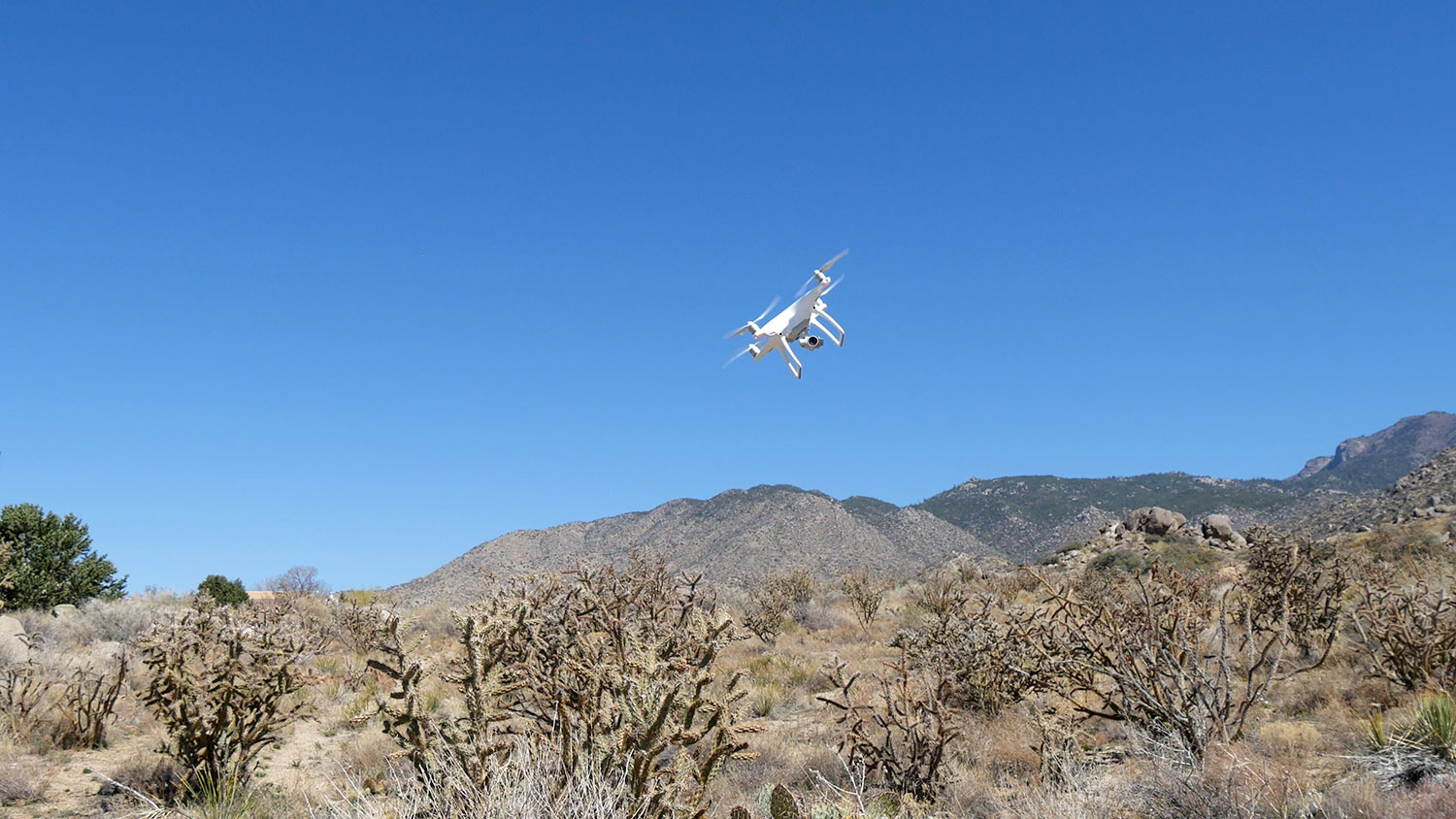 dji phantom 4 video review hands on 009