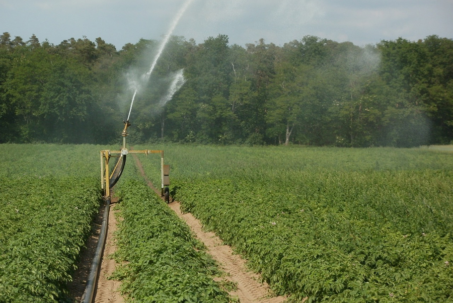 reclaimed wastewater drugs potato 839469 1280