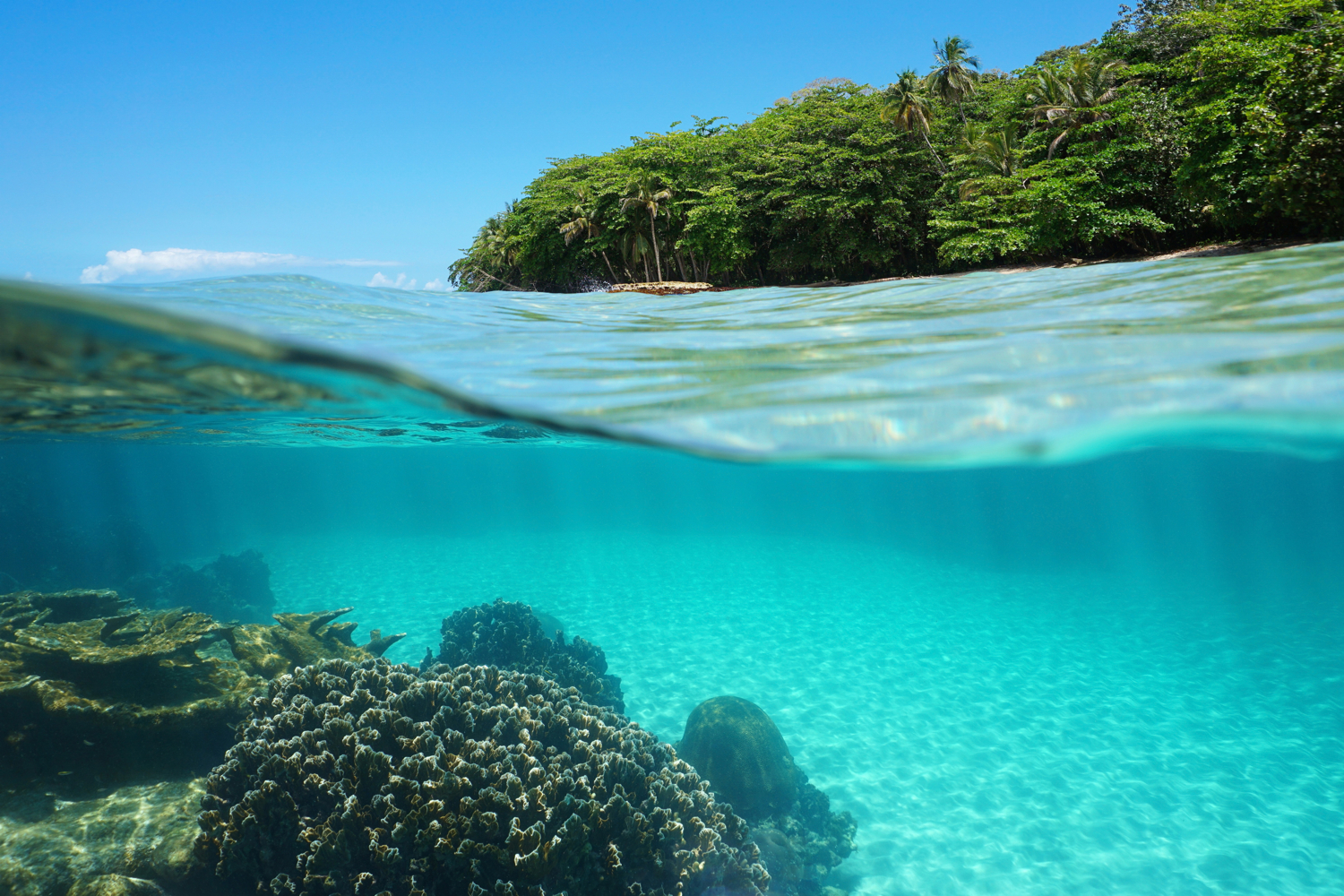 nasa coral reef climate change lush tropical shore and corals underwater