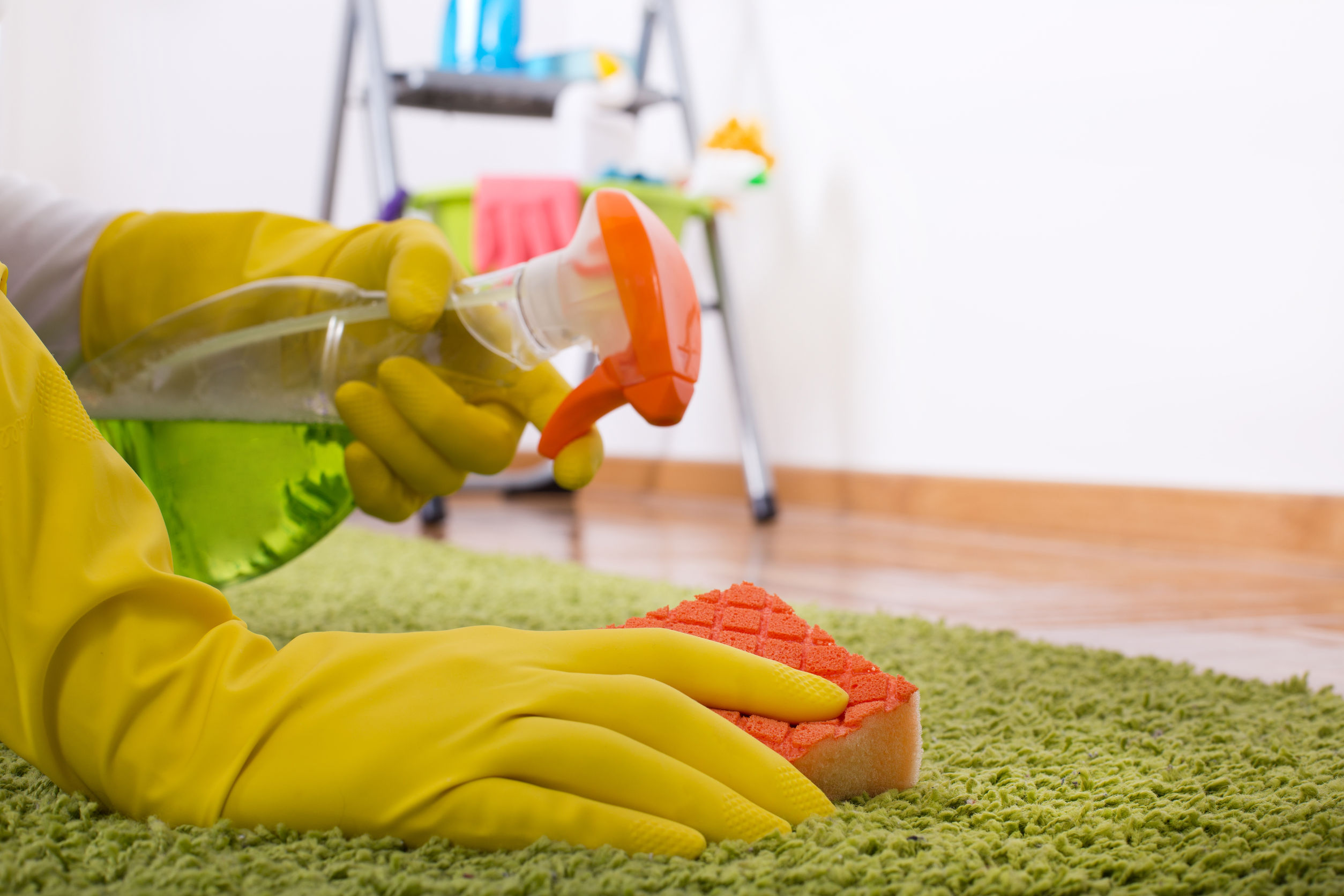 carpet cleaning