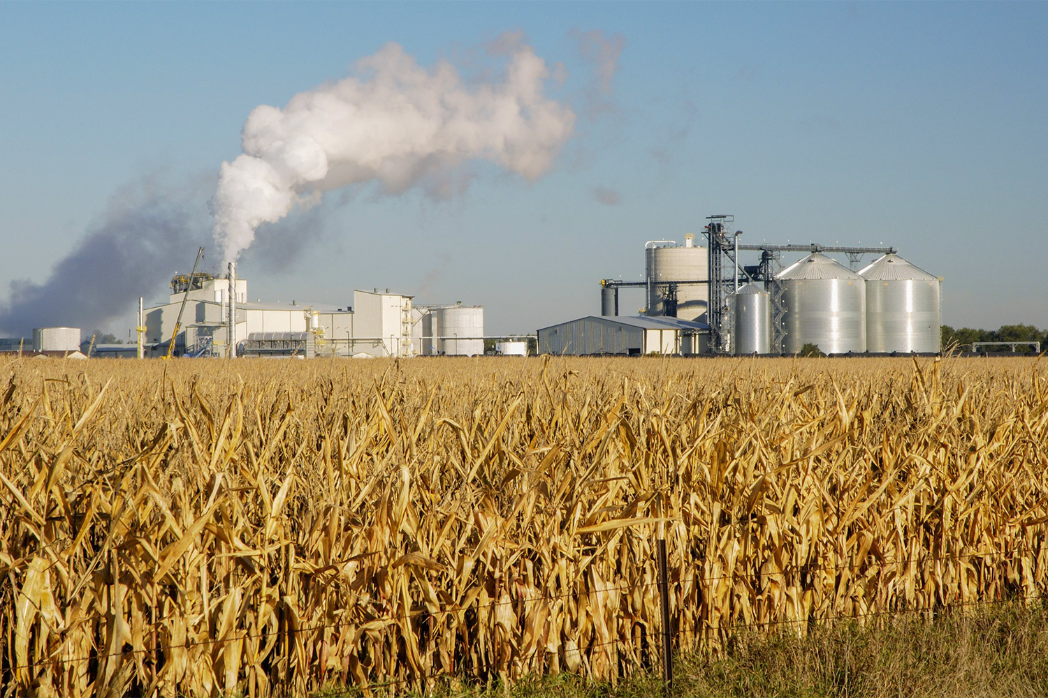 ethanol plant