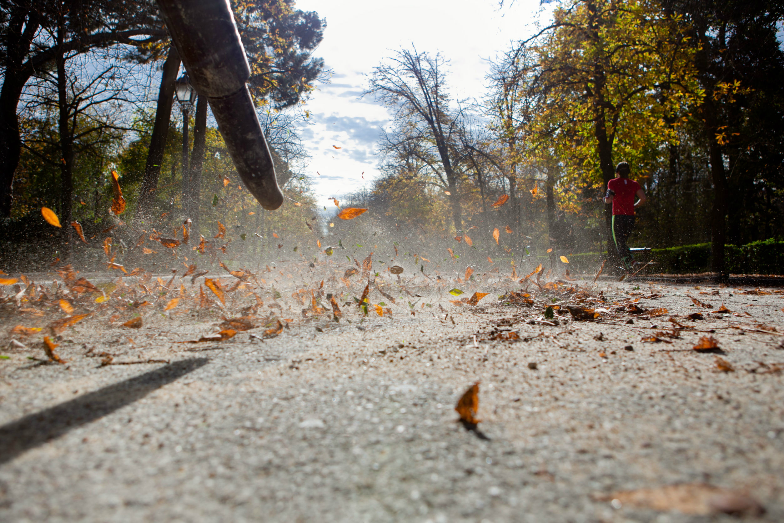 leaf blower