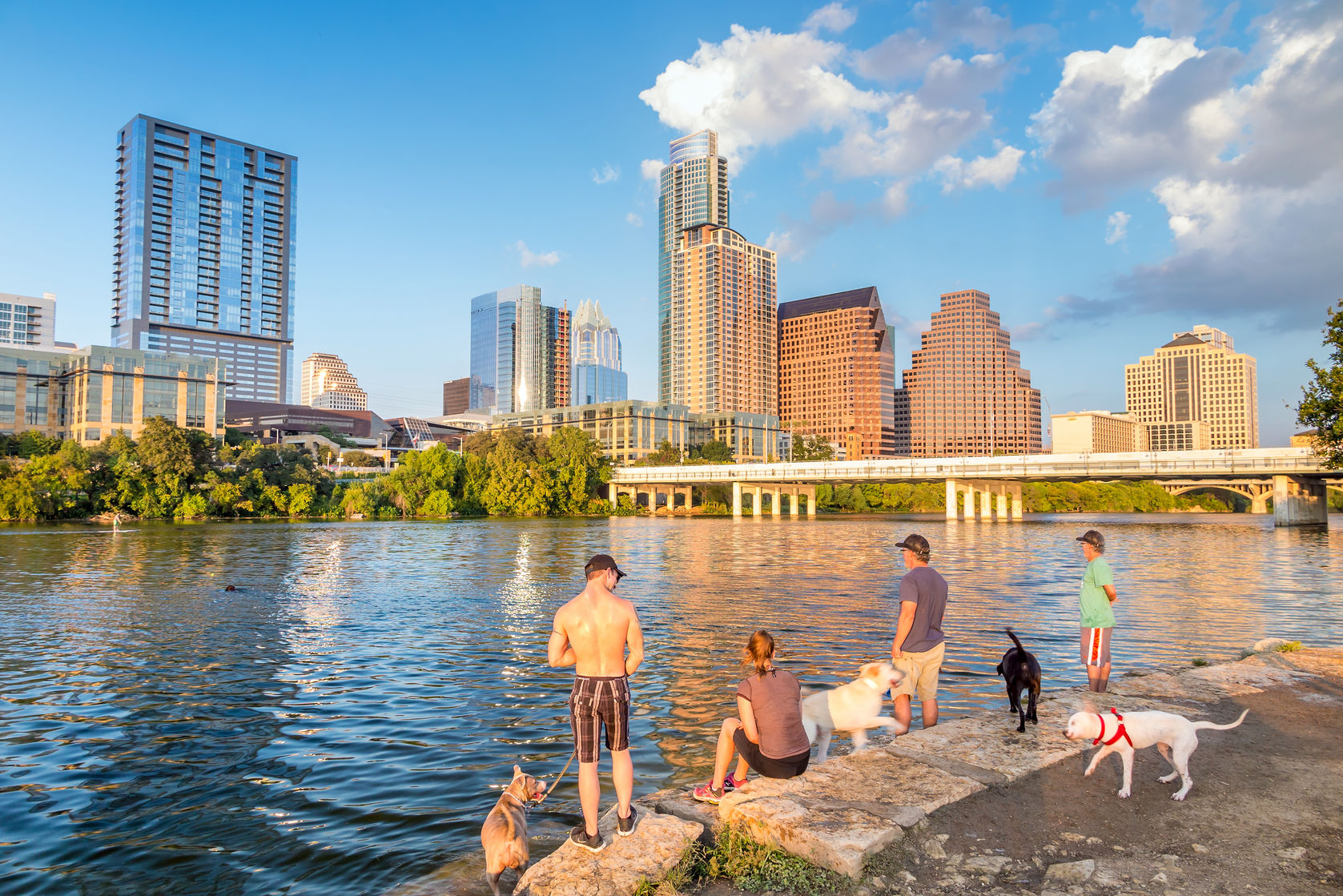 austin texas smart thermostats 36661069  people and dogs with a view of downtown skyline