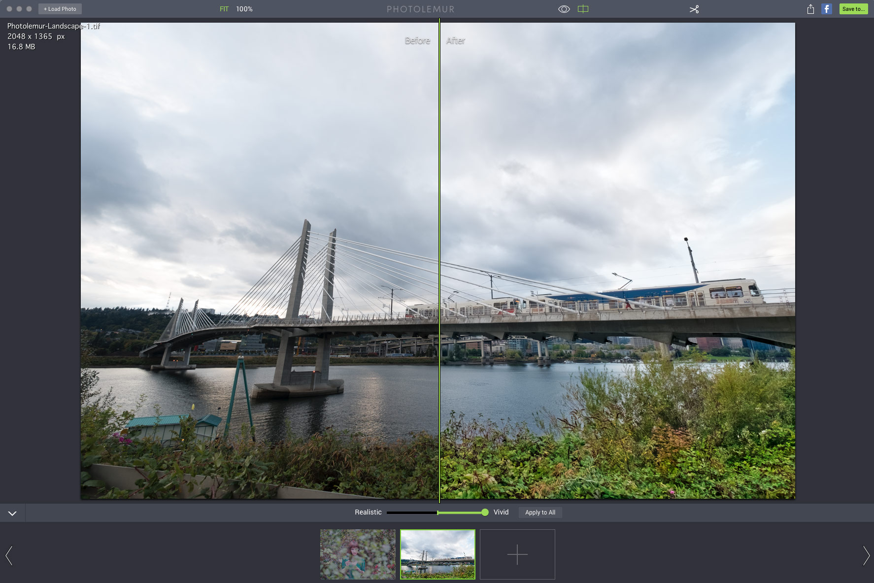 photolemur ai image editing screenshot 3