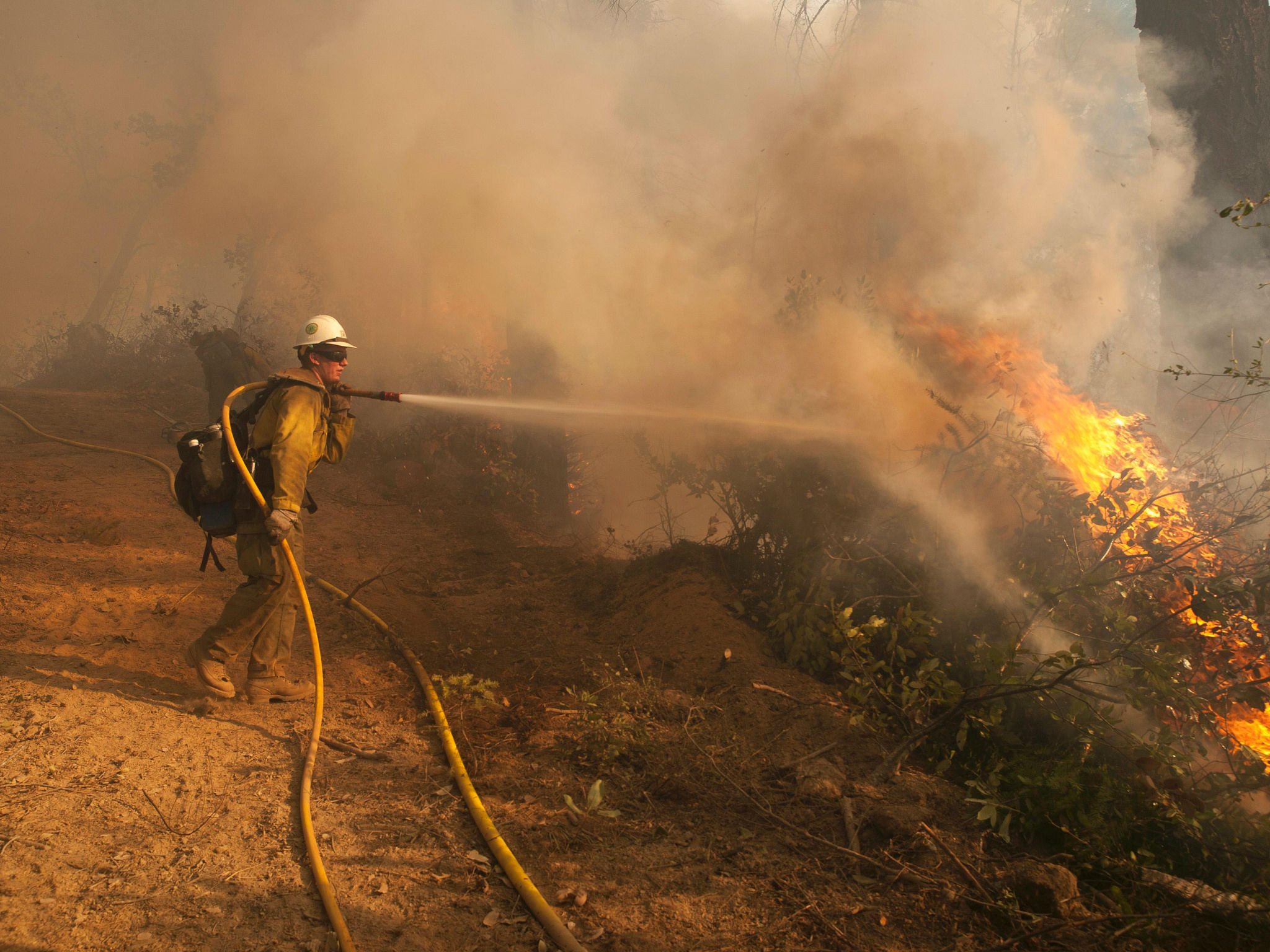 facebook wannabe weatherman wildfires wildfire