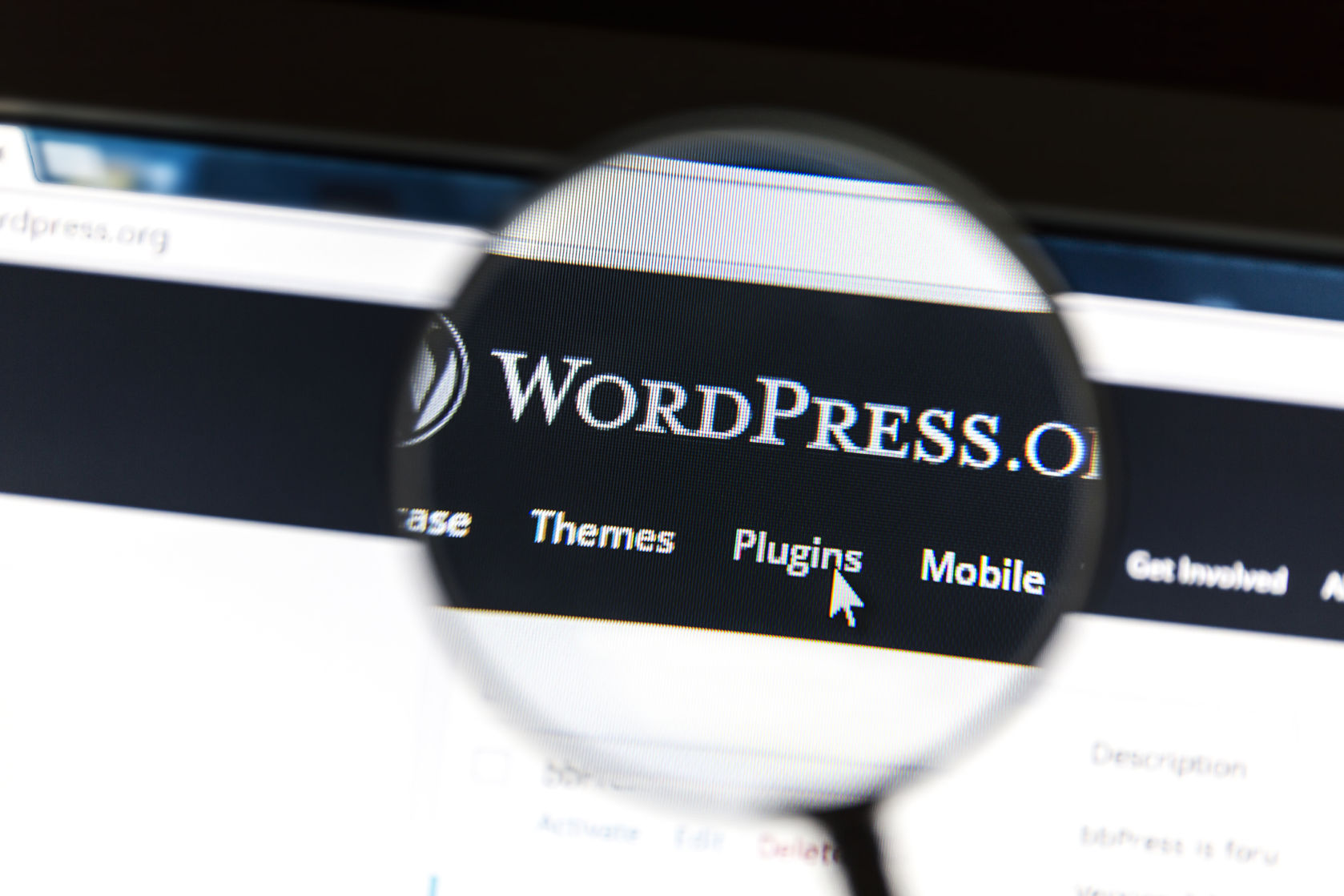 wordpress vulnerability version 472 plug in