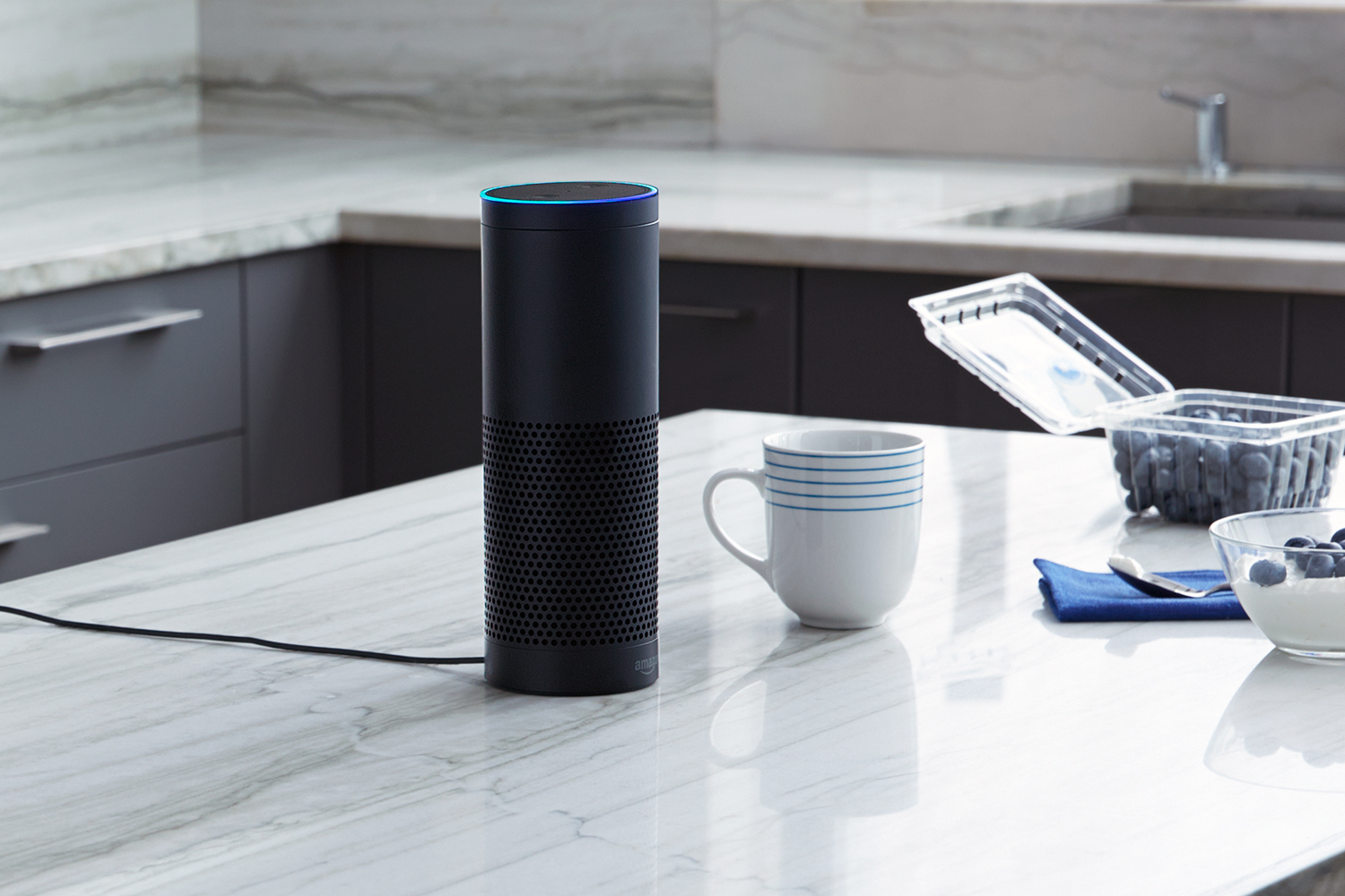 amazon echo google home adding phone kitchen