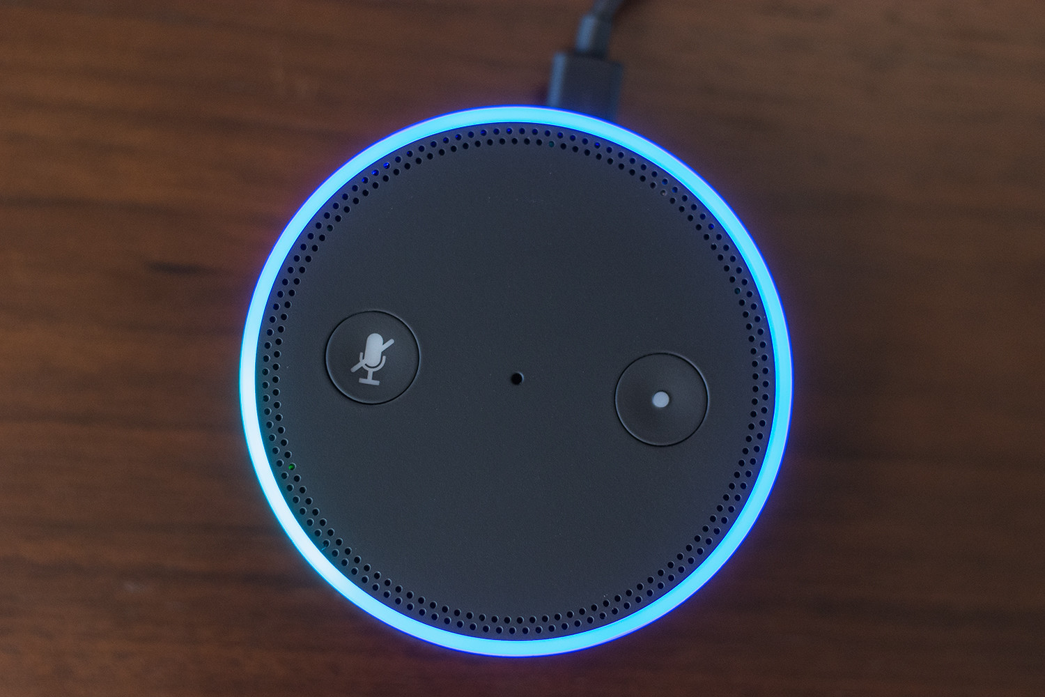 Amazon Echo Alexa