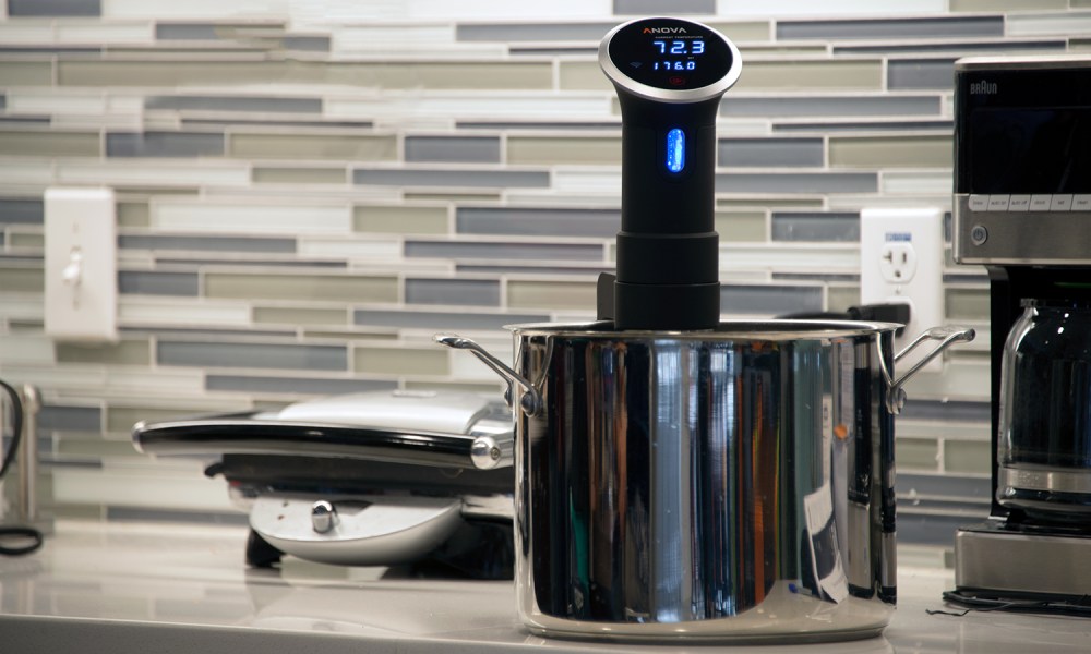 Anova Precision Cooker WiFi review