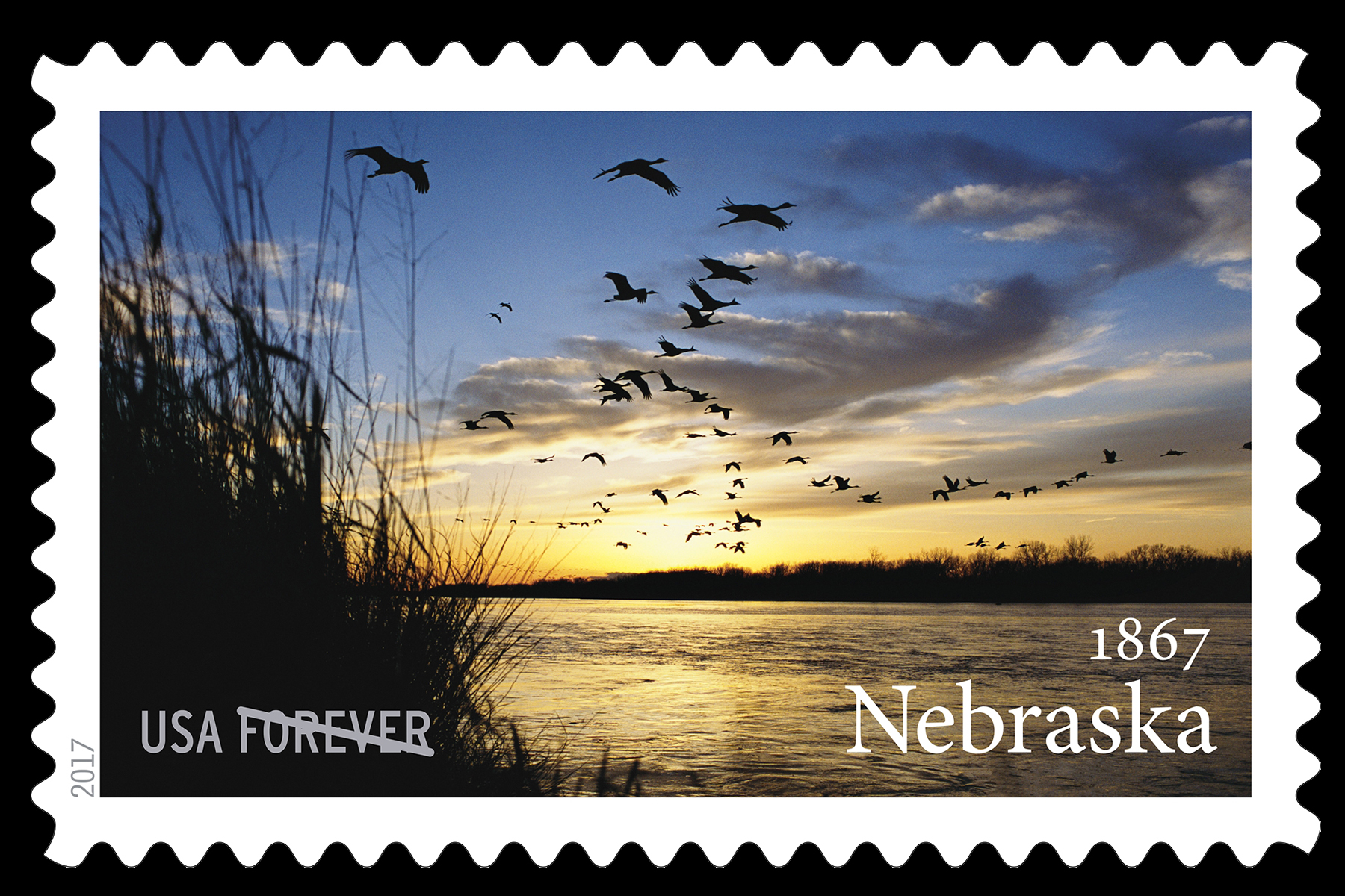 michael forsberg postage stamp nebraskastamp