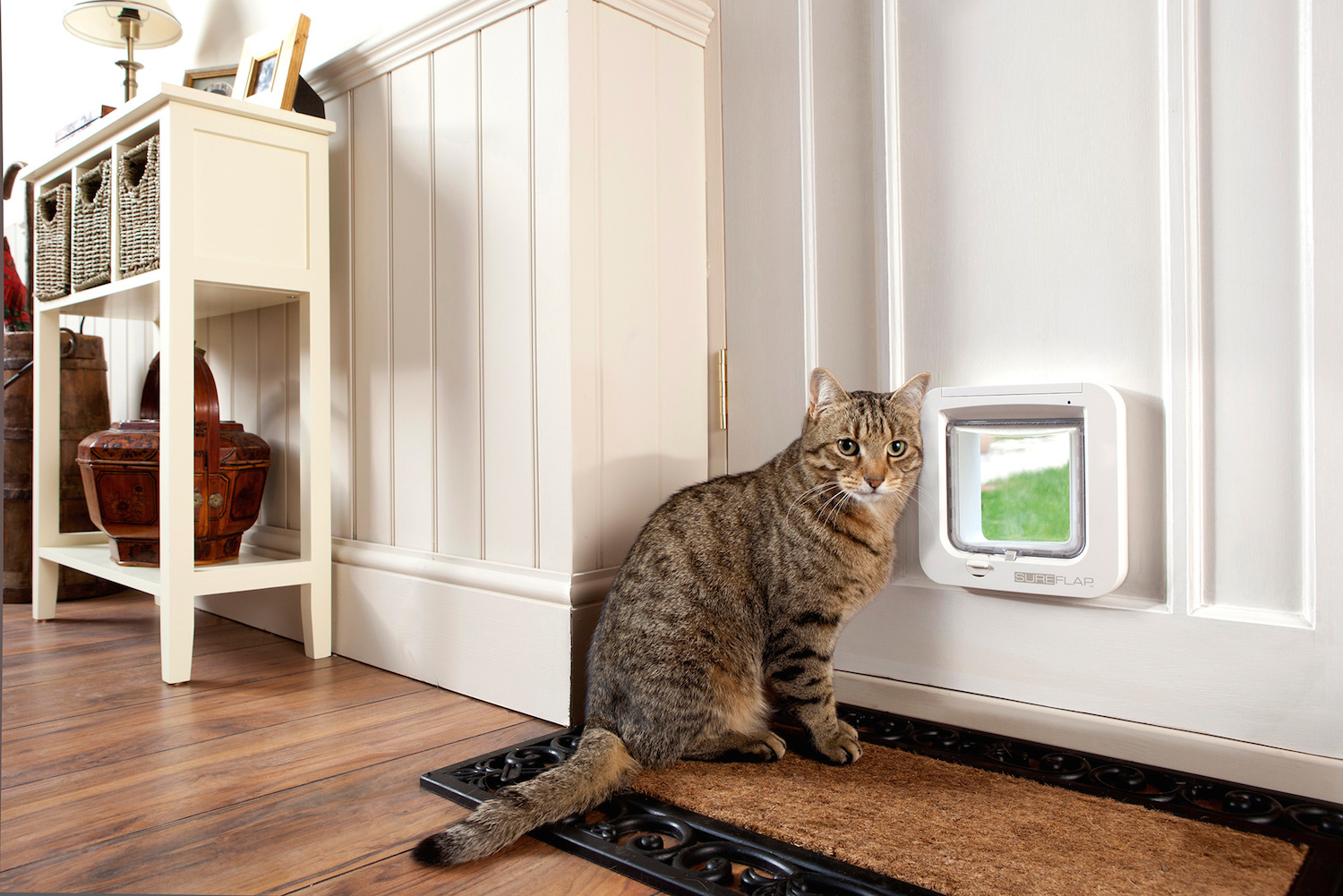 microchip pet door connect sureflap