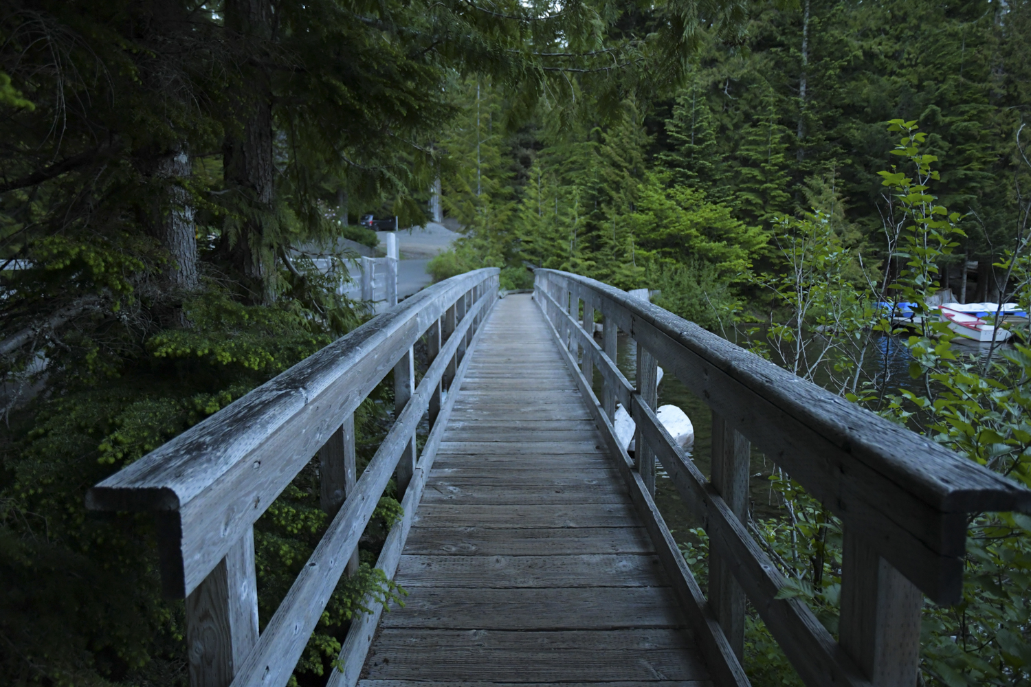 Bridge sample shot from the D7500