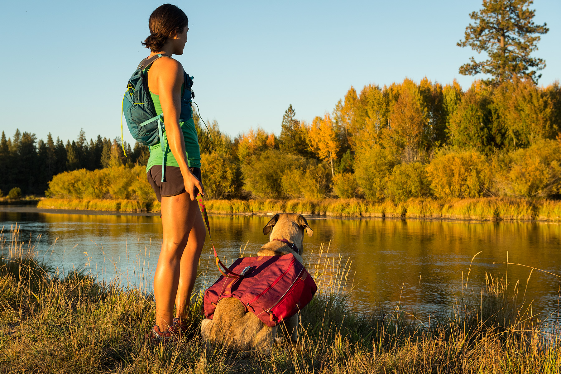 best dog packs for hiking ruffwear commuter pack 4