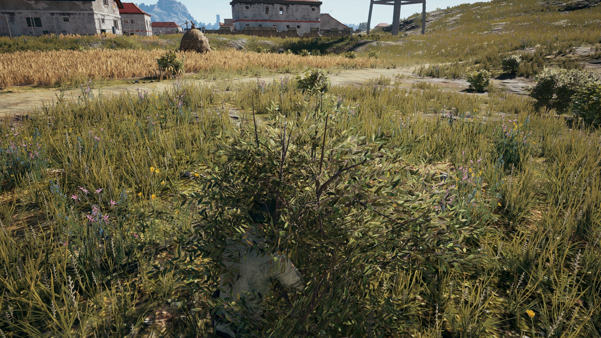 Playerunknown’s Battlegrounds-Foliage-Ultra