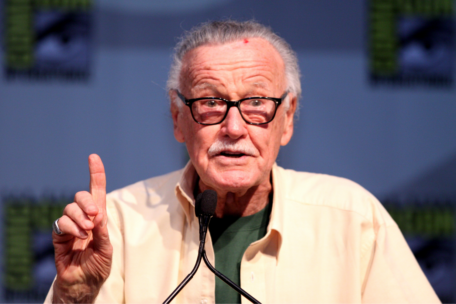 Stan Lee speaks at San Diego Comic-Con.