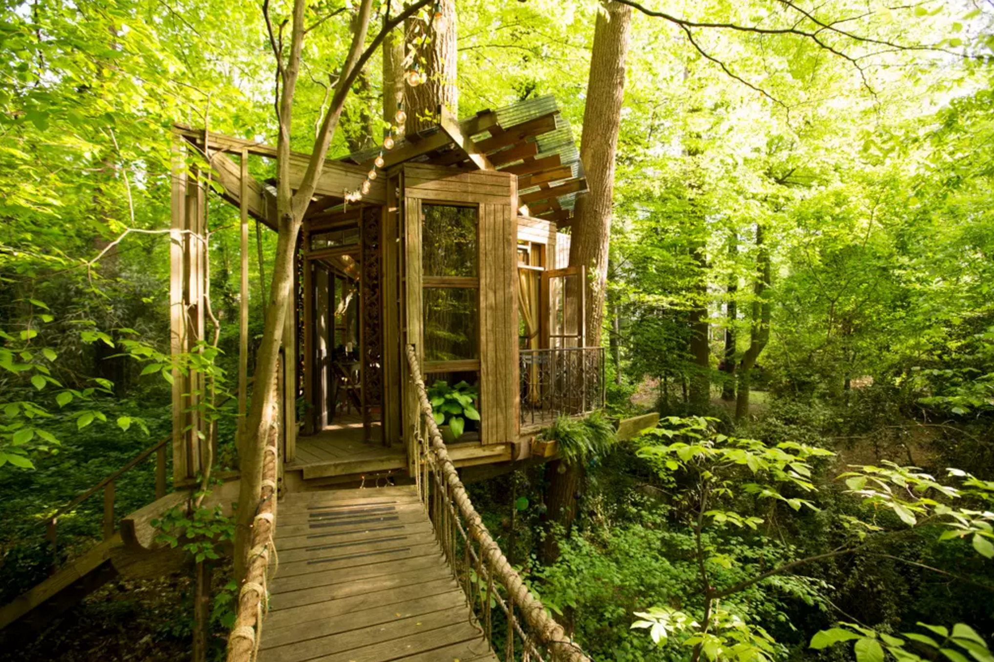 treehouse airbnb