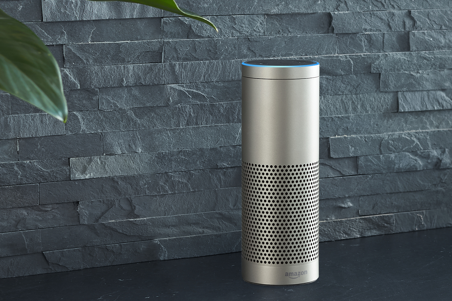 Amazon Echo Plus