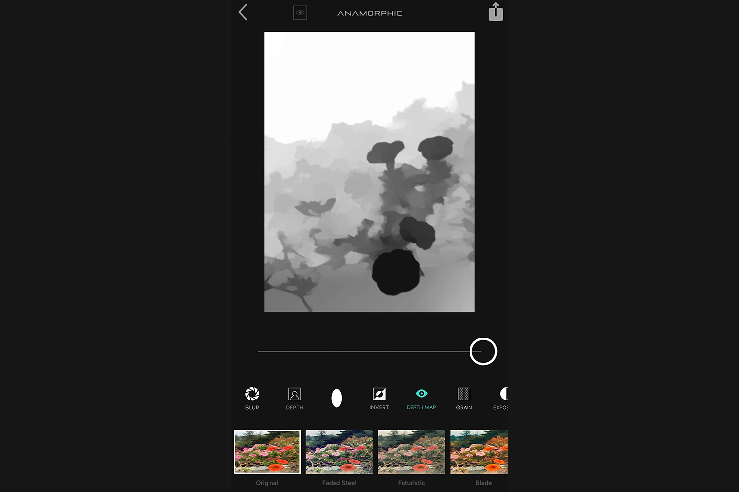 anamorphic app review img 6852