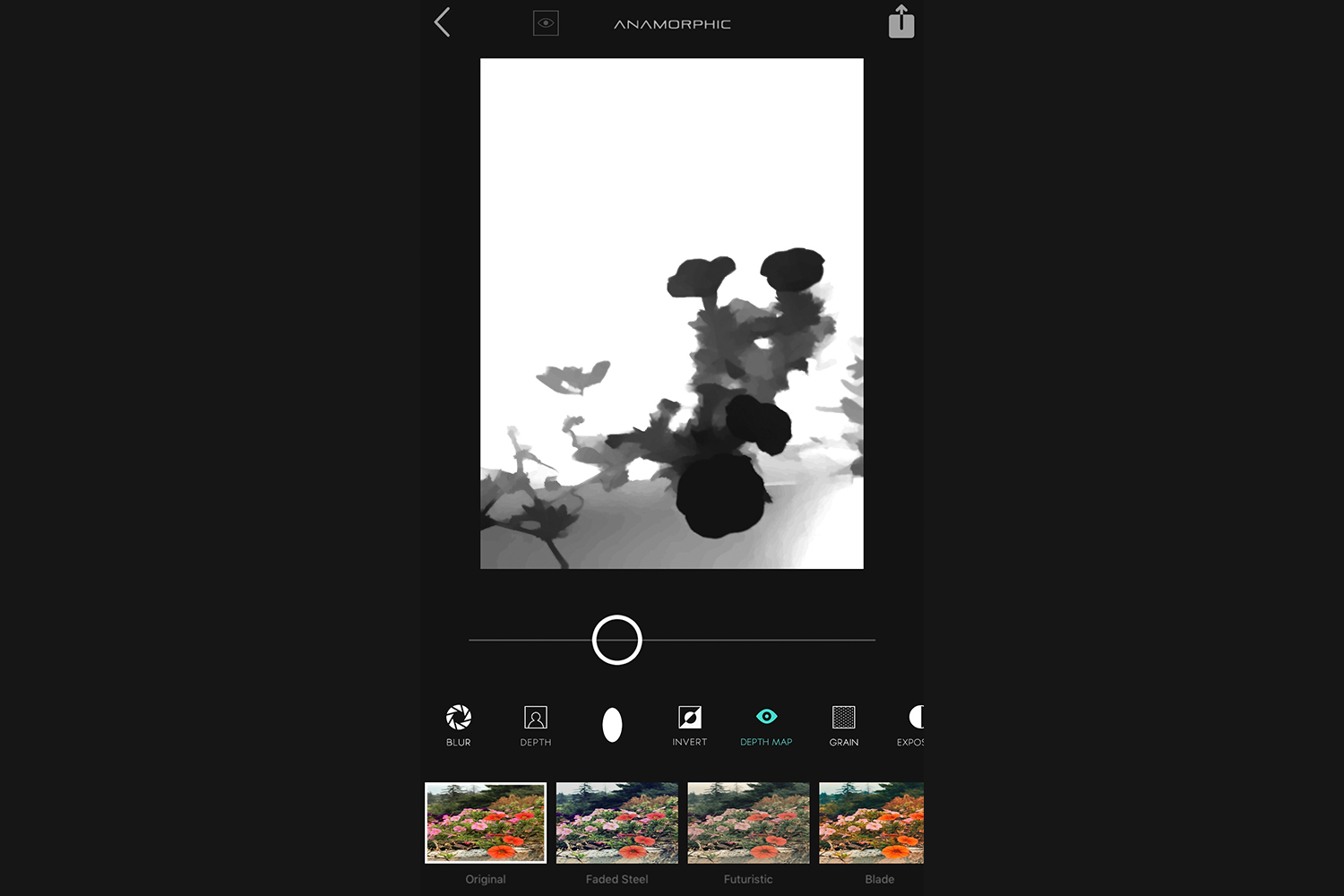 anamorphic app review img 6853