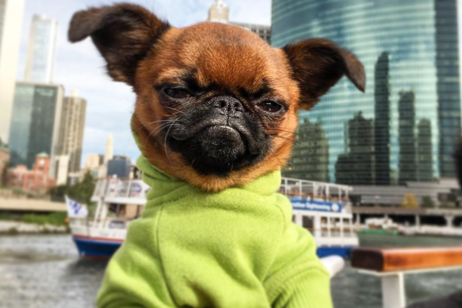 best instagram accounts sprout 4